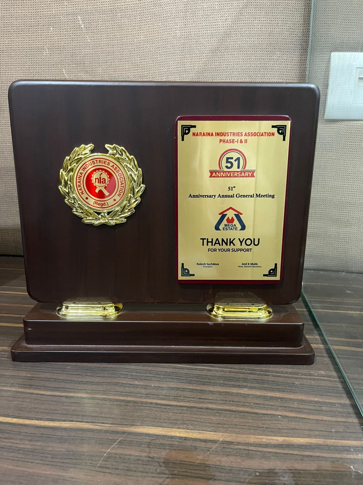 Naraina Industries Association | Best Collaborator Award